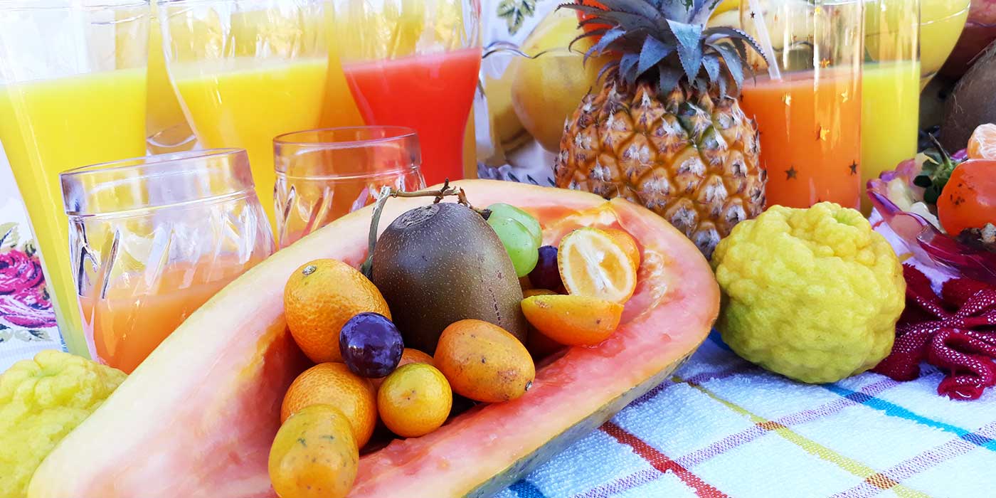 fruits-of-legent-slider-2